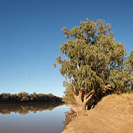 Camping on the Barcoo River