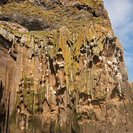 Cliffs of Haimaey
