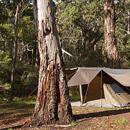 Cox Creek Camping Area, Coolah Tops