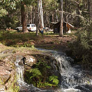 Cox Creek Camping Area