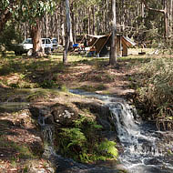 Cox Creek Camping Area