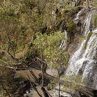 Cox Creek Falls