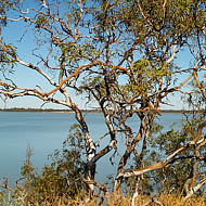 Lake Yanga