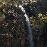 Norfolk Falls