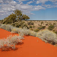 Red sand dune