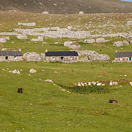 St Kilda Village