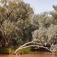 The Paroo River